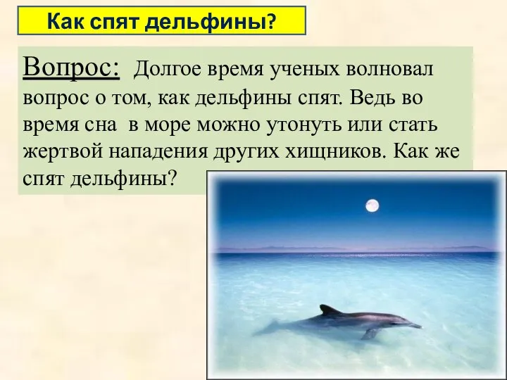 Вопрос: Долгое время ученых волновал вопрос о том, как дельфины спят. Ведь