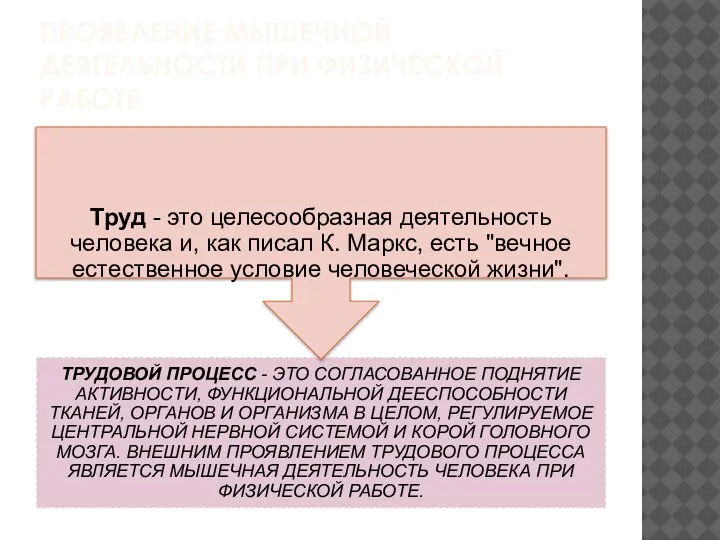 ПРОЯВЛЕНИЕ МЫШЕЧНОЙ ДЕЯТЕЛЬНОСТИ ПРИ ФИЗИЧЕСКОЙ РАБОТЕ