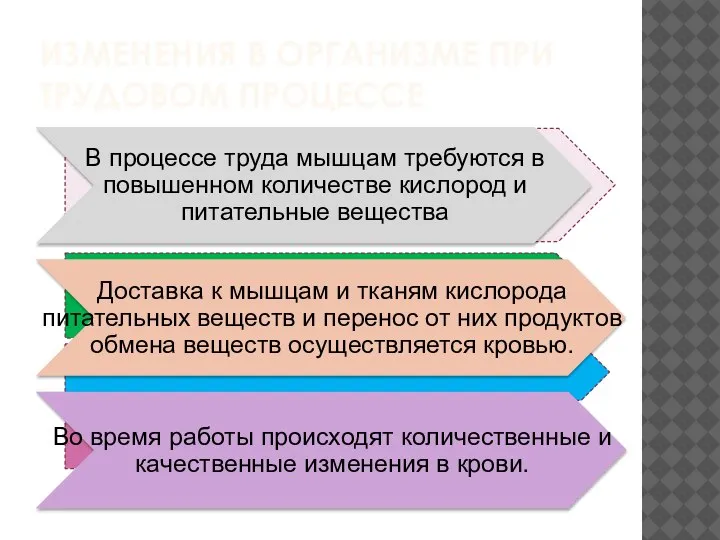 ИЗМЕНЕНИЯ В ОРГАНИЗМЕ ПРИ ТРУДОВОМ ПРОЦЕССЕ