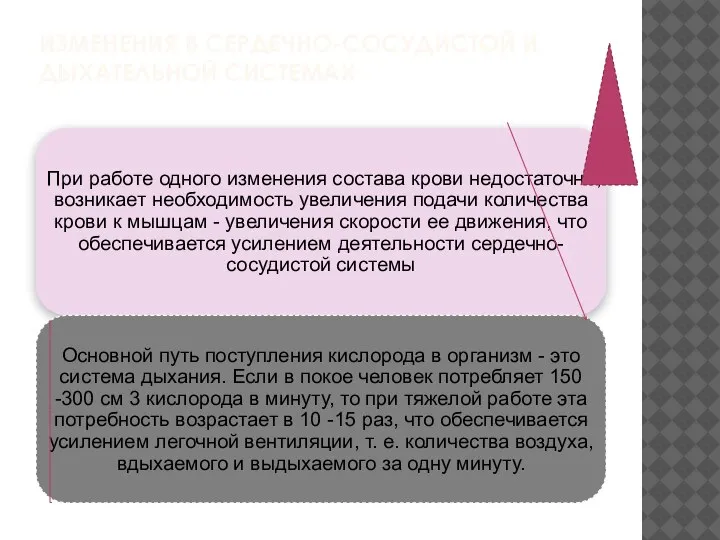 ИЗМЕНЕНИЯ В СЕРДЕЧНО-СОСУДИСТОЙ И ДЫХАТЕЛЬНОЙ СИСТЕМАХ