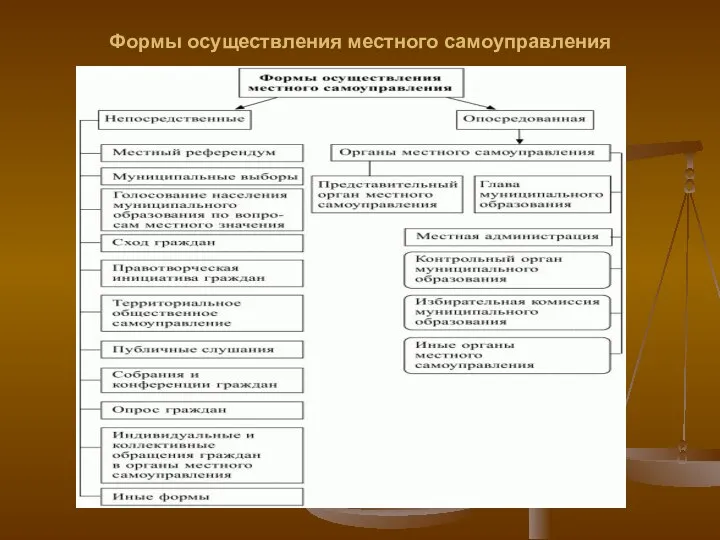 Формы осуществления местного самоуправления