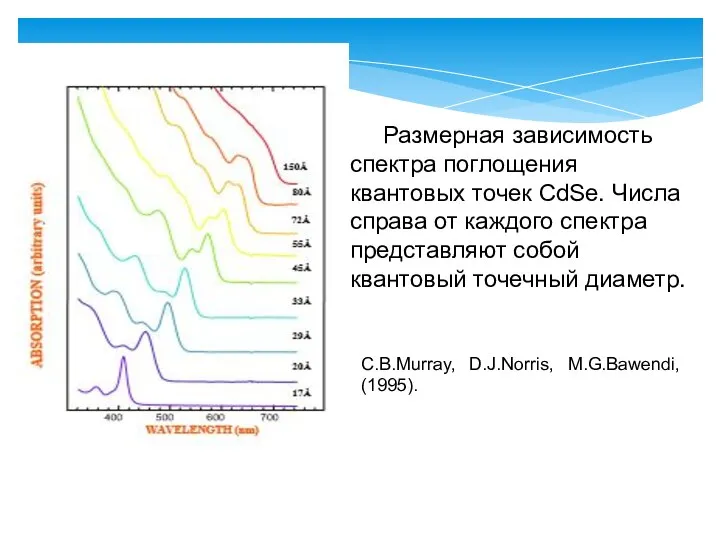 Размерная зависимость спектра поглощения квантовых точек CdSe. Числа справа от каждого спектра