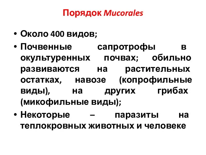 Порядок Mucorales Около 400 видов; Почвенные сапротрофы в окультуренных почвах; обильно развиваются