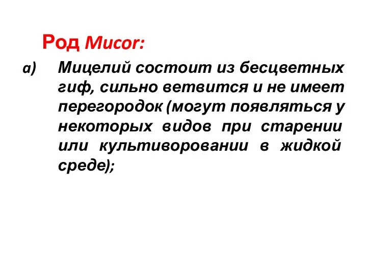 Род Mucor: Мицелий состоит из бесцветных гиф, сильно ветвится и не имеет