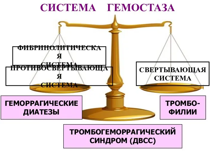 СИСТЕМА ГЕМОСТАЗА СВЕРТЫВАЮЩАЯ СИСТЕМА ПРОТИВОСВЕРТЫВАЮЩАЯ СИСТЕМА ФИБРИНОЛИТИЧЕСКАЯ СИСТЕМА ТРОМБО- ФИЛИИ ГЕМОРРАГИЧЕСКИЕ ДИАТЕЗЫ ТРОМБОГЕМОРРАГИЧЕСКИЙ СИНДРОМ (ДВСС)