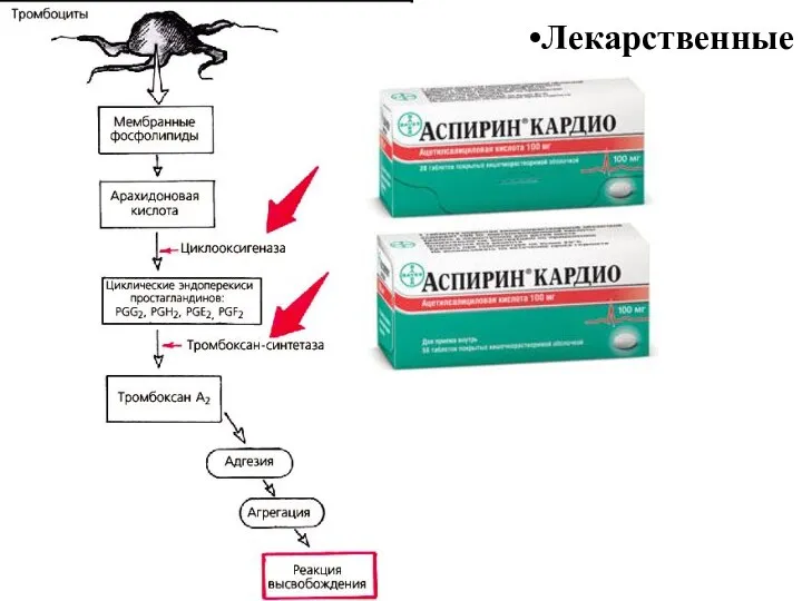 Лекарственные