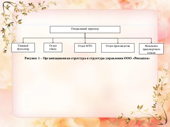 Рисунок 1 – Организационная структура и структура управления ООО «Ромашка»