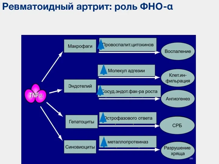 Ревматоидный артрит: роль ФНО-α