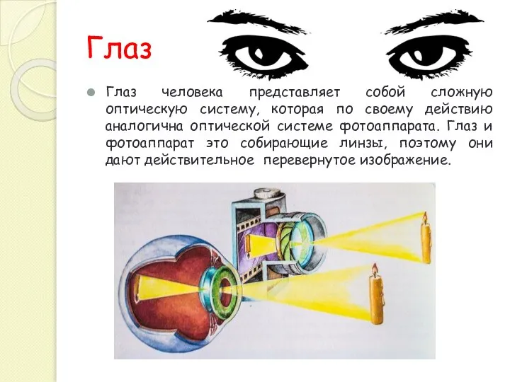 Глаз Глаз человека представляет собой сложную оптическую систему, которая по своему действию