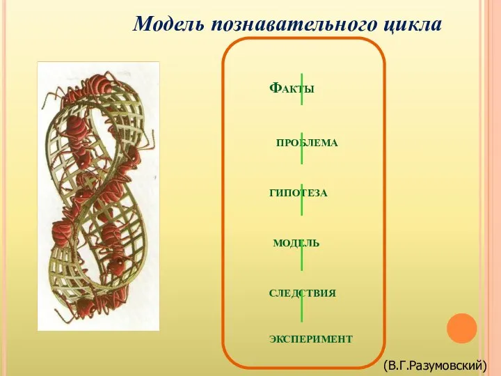 Факты проблема гипотеза модель следствия эксперимент Модель познавательного цикла (В.Г.Разумовский)