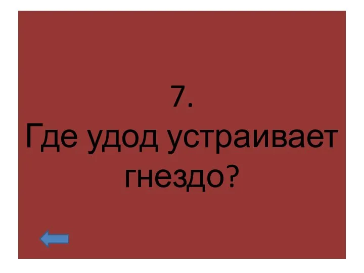 7. Где удод устраивает гнездо?