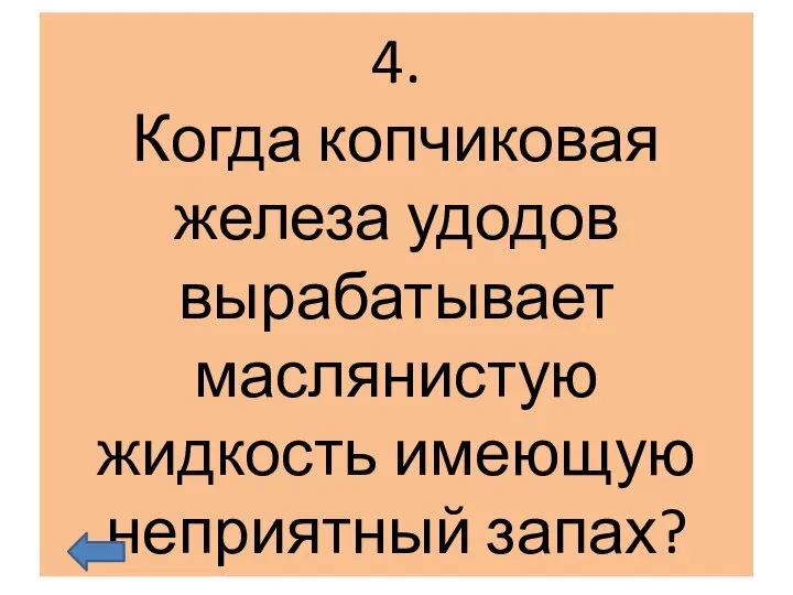 4. Когда копчиковая железа удодов вырабатывает маслянистую жидкость имеющую неприятный запах?