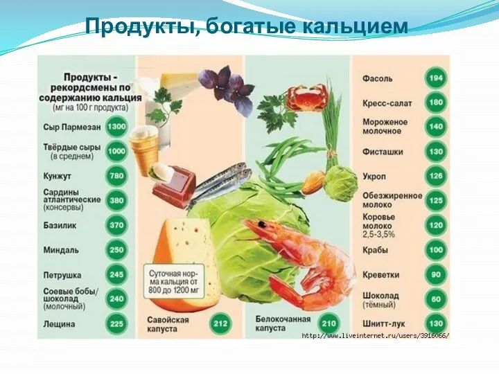 Продукты, богатые кальцием