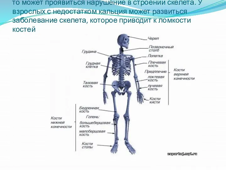 Если кальция будет поступать в детский организм мало, то может проявиться нарушение