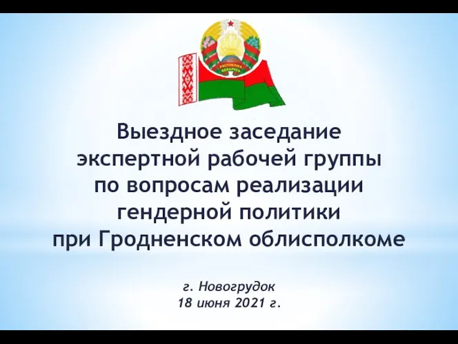 Выездное заседание экспертной рабочей группы по вопросам реализации гендерной политики при Гродненском