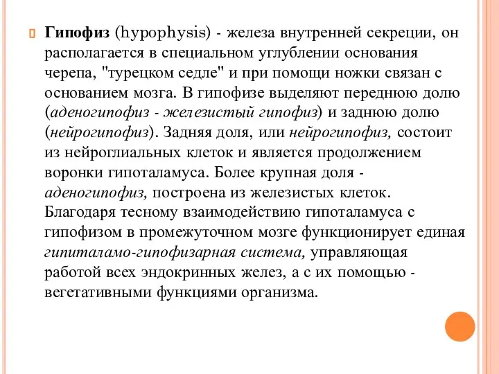 Гипофиз (hypophysis) - железа внутренней секреции, он располагается в специальном углублении основания