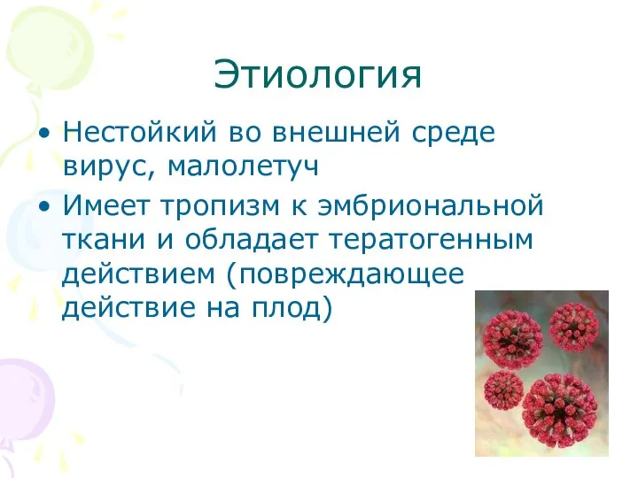 Этиология Нестойкий во внешней среде вирус, малолетуч Имеет тропизм к эмбриональной ткани