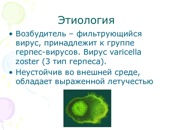 Этиология Возбудитель – фильтрующийся вирус, принадлежит к группе герпес-вирусов. Вирус varicella zoster