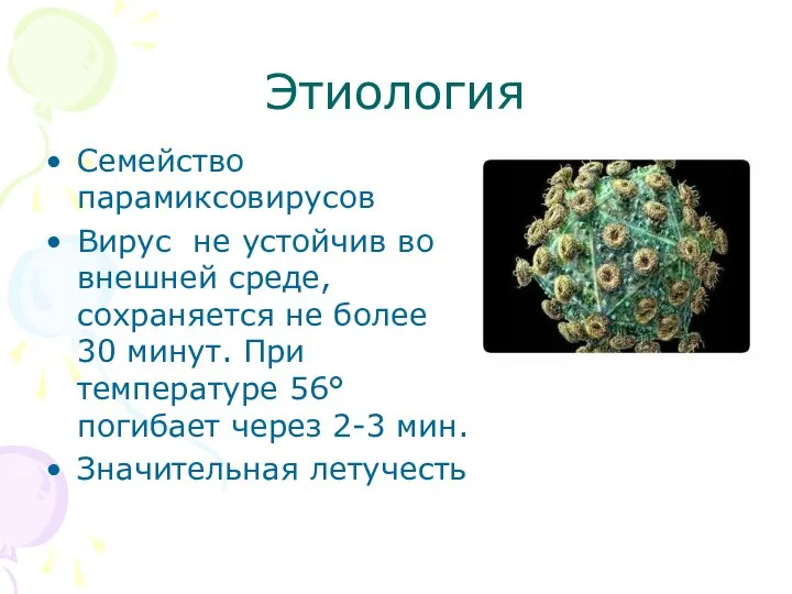 Этиология Семейство парамиксовирусов Вирус не устойчив во внешней среде, сохраняется не более