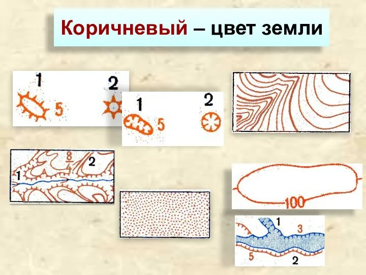 Коричневый – цвет земли