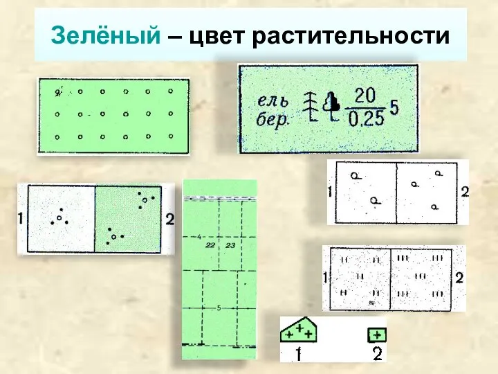 Зелёный – цвет растительности