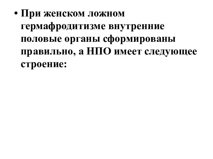 При женском ложном гермафродитизме внутренние половые органы сформированы правильно, а НПО имеет следующее строение: