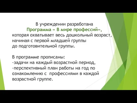 В учреждении разработана Программа « В мире профессий», которая охватывает весь дошкольный