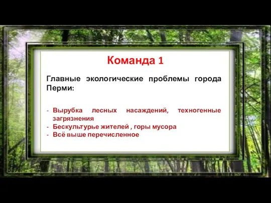 ЧТО? ГДЕ? КОГДА? Команда 1 Главные экологические проблемы города Перми: Вырубка лесных