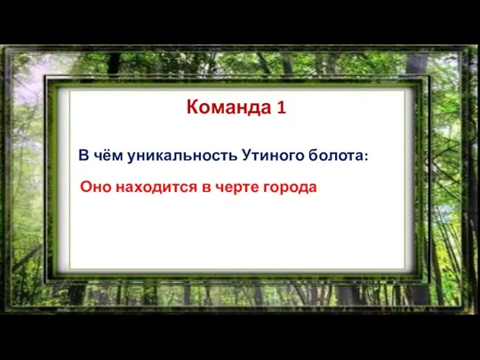 ЧТО? ГДЕ? КОГДА? Команда 1 В чём уникальность Утиного болота: Оно находится в черте города