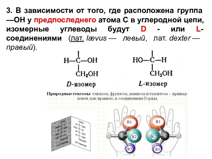 3. В зависимости от того, где расположена группа —ОН y предпоследнего атома