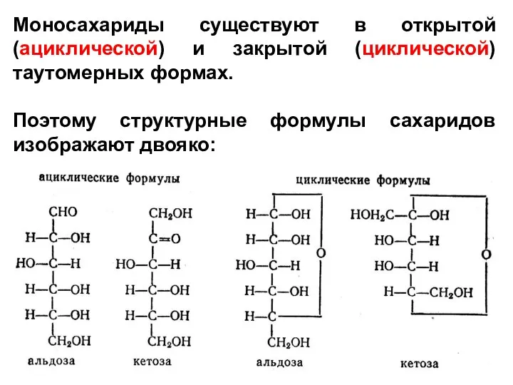 Моносахариды существуют в открытой (ациклической) и закрытой (циклической) таутомерных формах. Поэтому структурные формулы сахаридов изображают двояко: