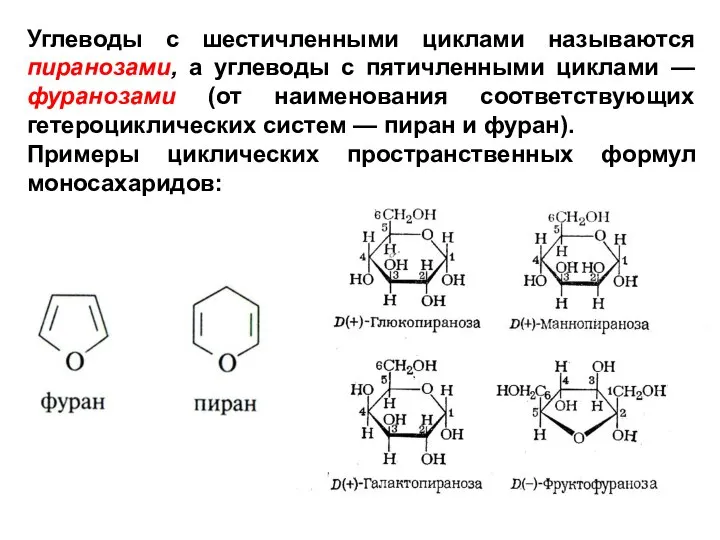 Углеводы с шестичленными циклами называются пиранозами, а углеводы с пятичленными циклами —