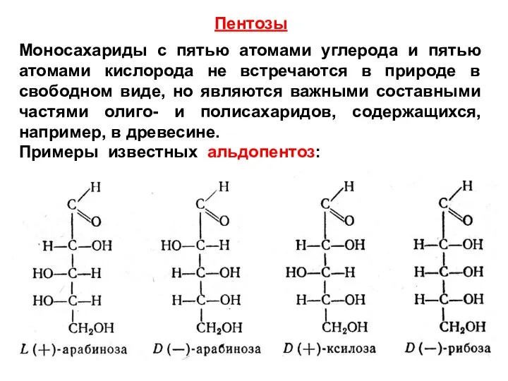 Пентозы Моносахариды с пятью атомами углерода и пятью атомами кислорода не встречаются