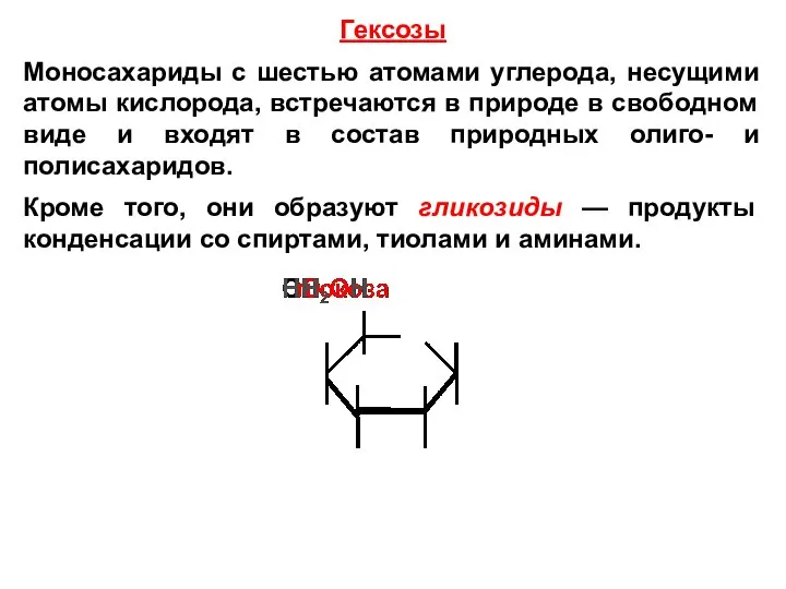 Гексозы Моносахариды с шестью атомами углерода, несущими атомы кислорода, встречаются в природе