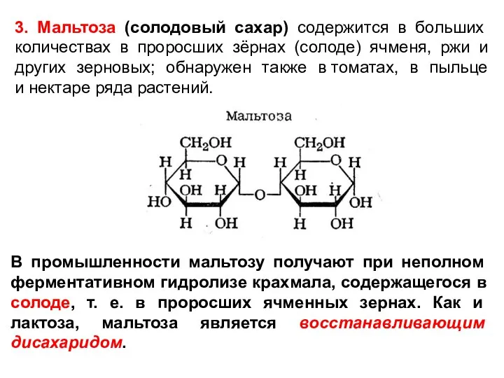 3. Мальтоза (солодовый сахар) содержится в больших количествах в проросших зёрнах (солоде)