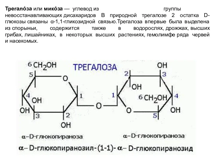 Трегалóза или микóза — углевод из группы невосстанавливающих дисахаридов В природной трегалозе