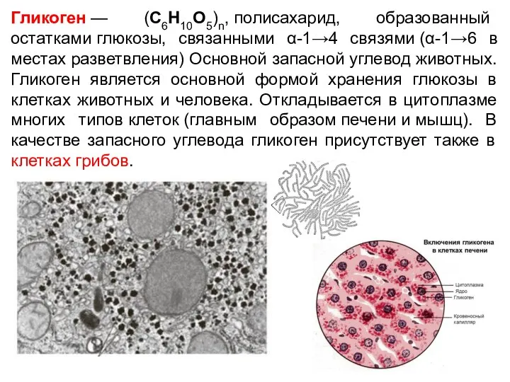 Гликоген — (C6H10O5)n, полисахарид, образованный остатками глюкозы, связанными α-1→4 связями (α-1→6 в