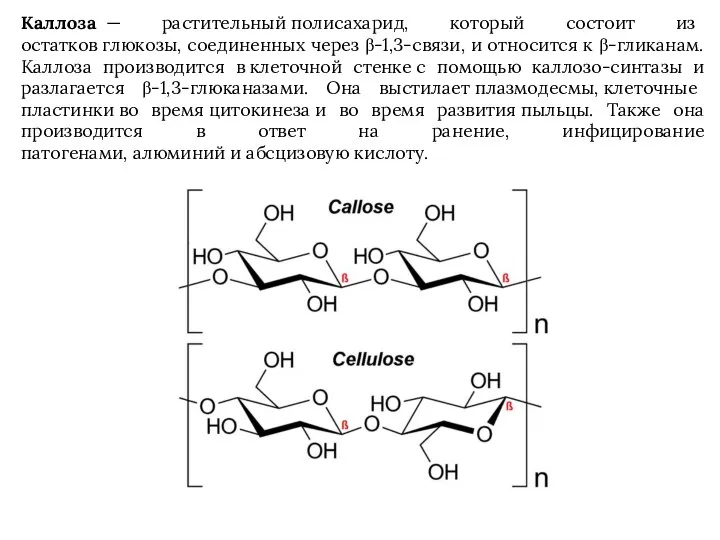 Каллоза — растительный полисахарид, который состоит из остатков глюкозы, соединенных через β-1,3-связи,