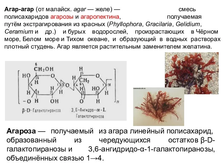 Агар-агар (от малайск. agar — желе) — смесь полисахаридов агарозы и агаропектина,