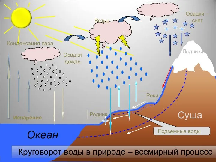 Испарение Конденсация пара Осадкидождь Осадки – снег Ветер Круговорот воды в природе