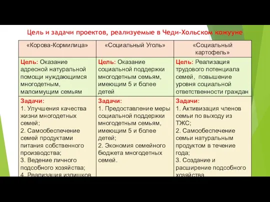 Цель и задачи проектов, реализуемые в Чеди-Хольском кожууне