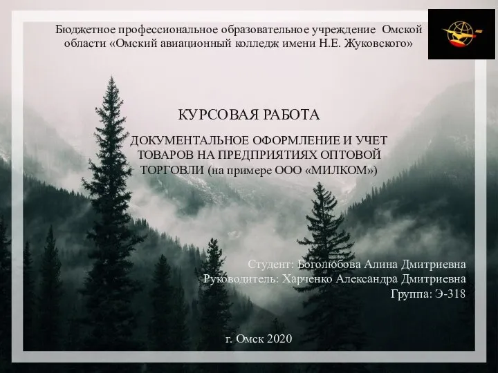 Бюджетное профессиональное образовательное учреждение Омской области «Омский авиационный колледж имени Н.Е. Жуковского»