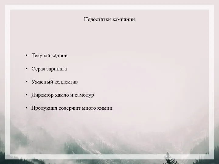 Недостатки компании Текучка кадров Серая зарплата Ужасный коллектив Директор хамло и самодур Продукция содержит много химии