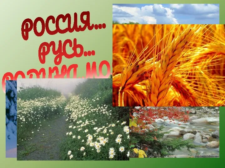 РОССИЯ… РУСЬ… РОДИНА МОЯ…