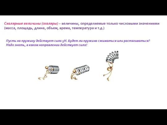 Скалярные величины (скаляры) – величины, определяемые только числовыми значениями (масса, площадь, длина,