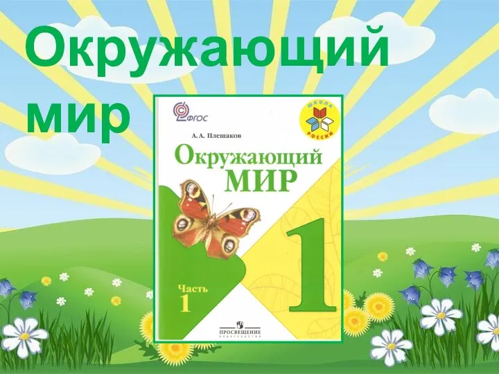 Окружающий мир