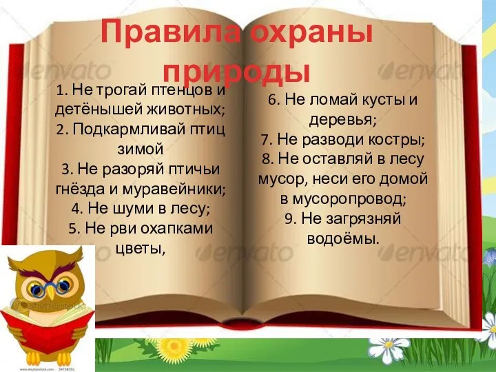 1. Не трогай птенцов и детёнышей животных; 2. Подкармливай птиц зимой 3.