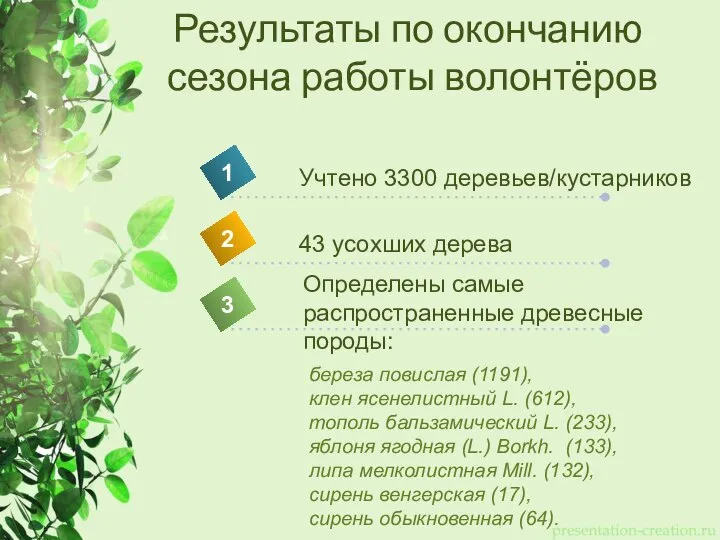 Результаты по окончанию сезона работы волонтёров Учтено 3300 деревьев/кустарников 1 2 3