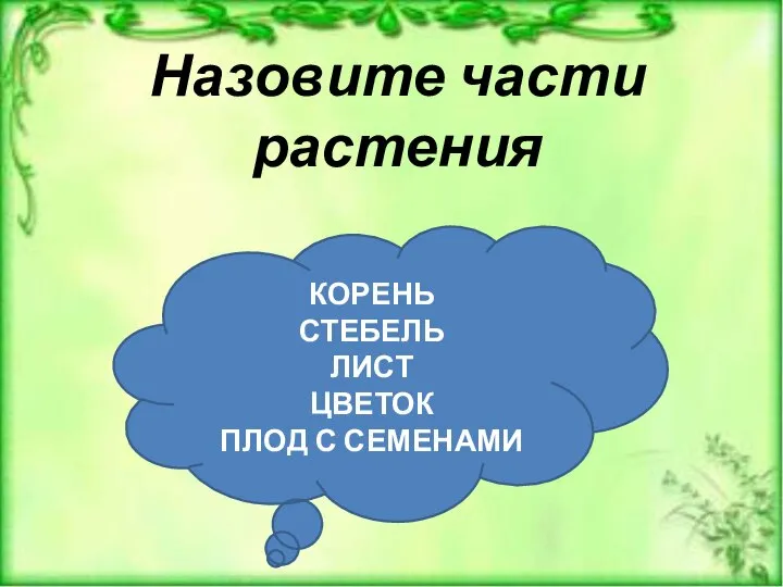 Назовите части растения КОРЕНЬ СТЕБЕЛЬ ЛИСТ ЦВЕТОК ПЛОД С СЕМЕНАМИ