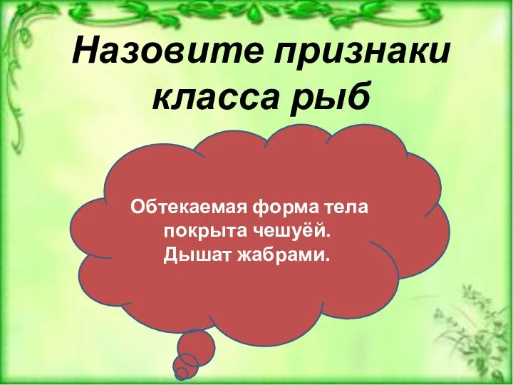 Назовите признаки класса рыб Обтекаемая форма тела покрыта чешуёй. Дышат жабрами.